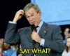 bush-say-what.jpg