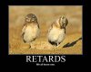 image.php?&aid=2798&demotivational-retards.jpg