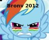 Brony 2012.jpeg