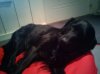 2012-05-05 20.41.19.jpg