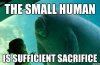 manatee-overlord.jpg