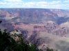 DSC00603.jpg