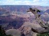 DSC00606.jpg